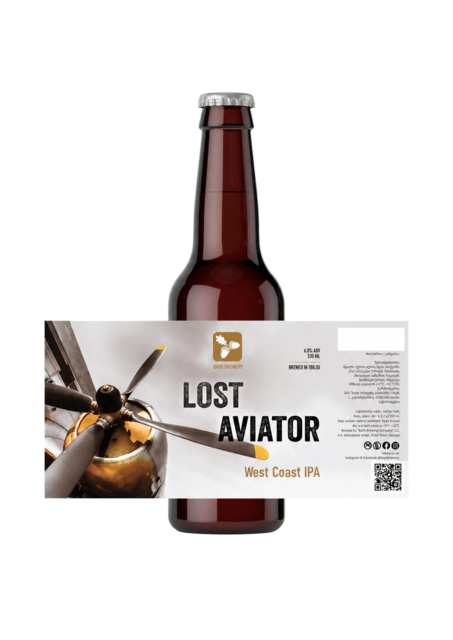 Bayo Brewery Lost Aviator bottle and label